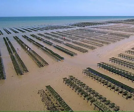 Apt Triplex Spacieux Et Lumineux Plein Centre Face Cathedrale Proche Omaha Beach アパート *