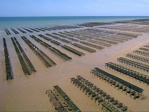 Apt Triplex Spacieux Et Lumineux Plein Centre Face Cathedrale Proche Omaha Beach Appartement *